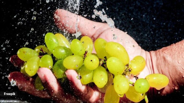 Beware of Pesticide Contamination: Experts Warn Against Consuming ...