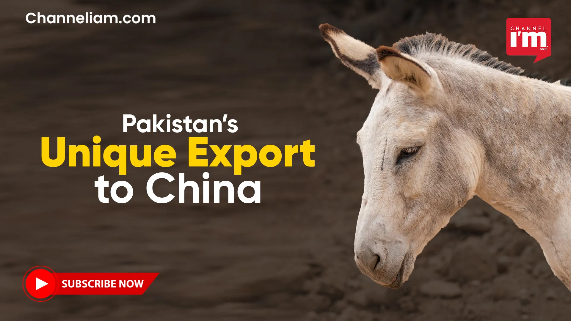 Pakistan China Donkey Trade Agreement Pakistan China Donkey Trade Agreement