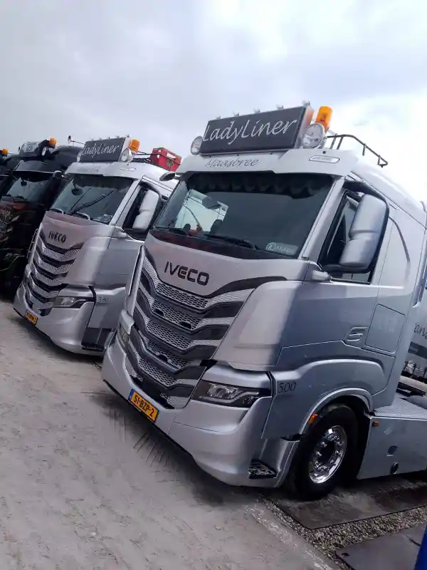 Tata Motors Iveco Acquisition