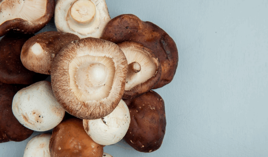 China Dominates Global Mushroom Production