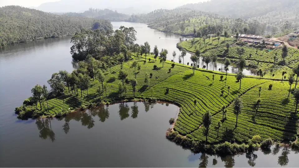 Munnar Asia's Top Rural Escapes