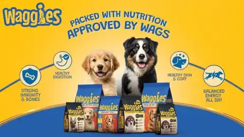 reliance launches waggies affordable pet food india