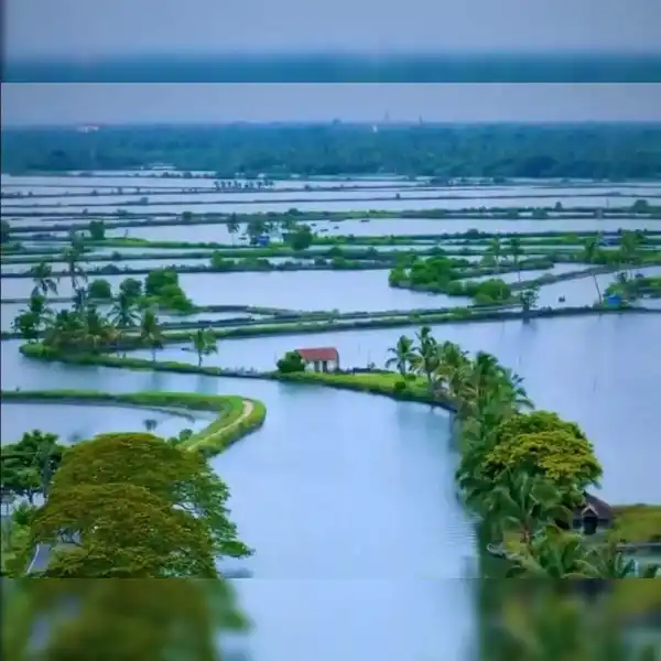 Anand Mahindra Kadamakkudy Islands Kochi visit