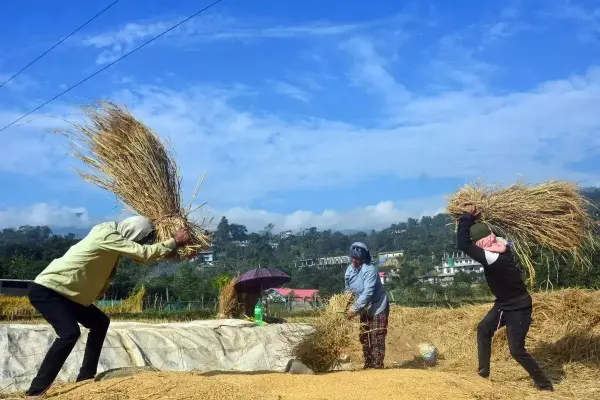 kerala budget 2026 wage hike contract workers