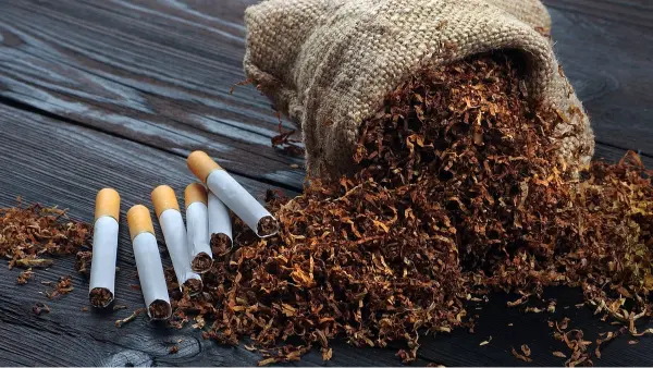 tobacco pan masala new tax compliance rules