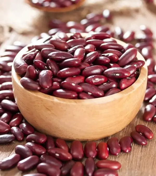 india largest kidney bean producer
