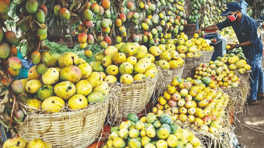 malda mangoes west bengal travel guide