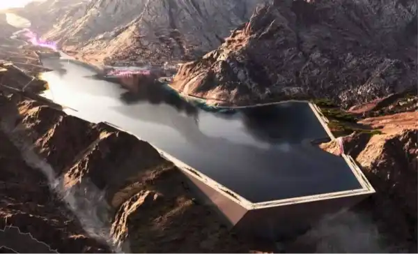 png users lpg surrender india energy policy