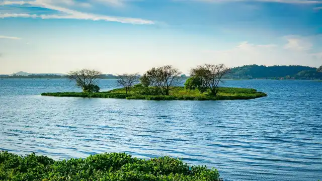 brahmaputra amazon of india