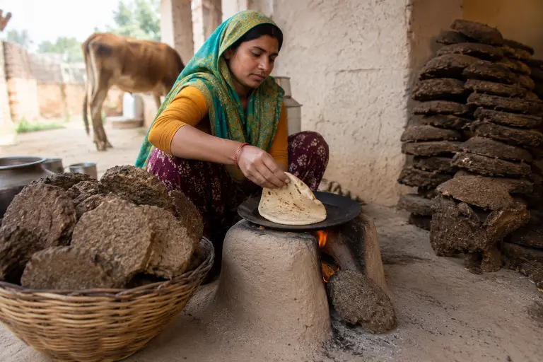 india biogas rural energy lpg crisis