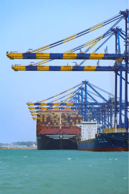 vizhinjam international seaport monthly teu record