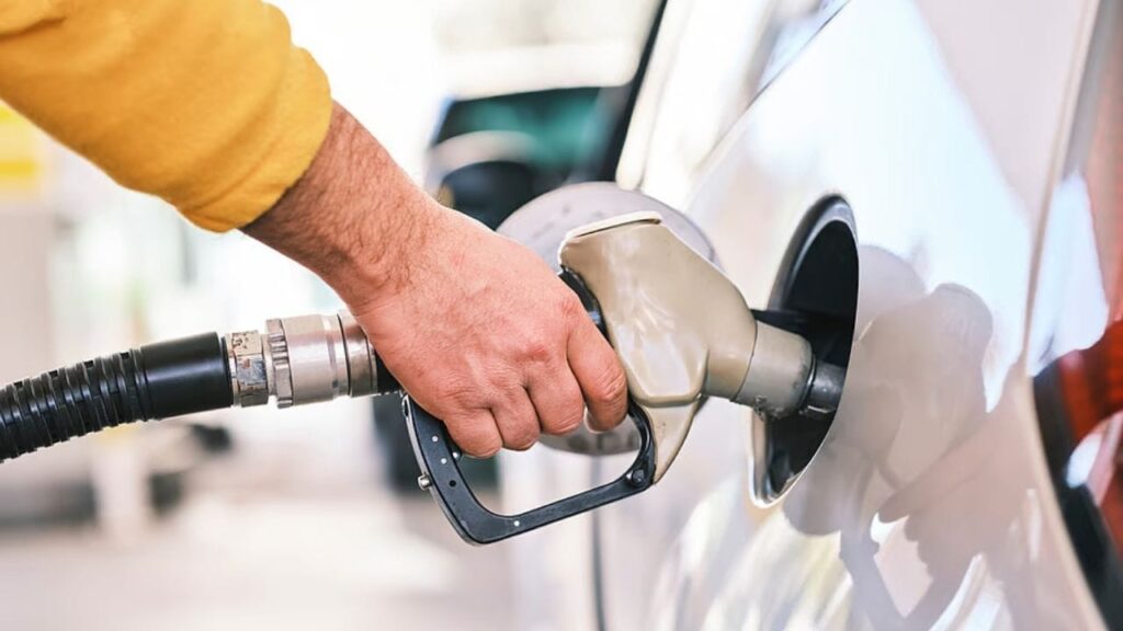 E20 petrol safety government clarification