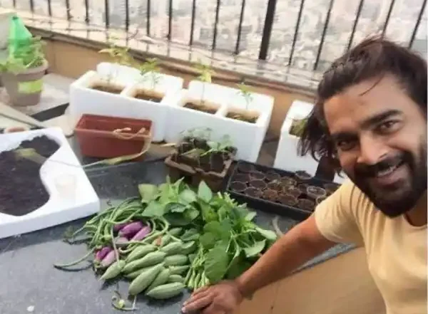 r madhavan balcony garden urban home gardening