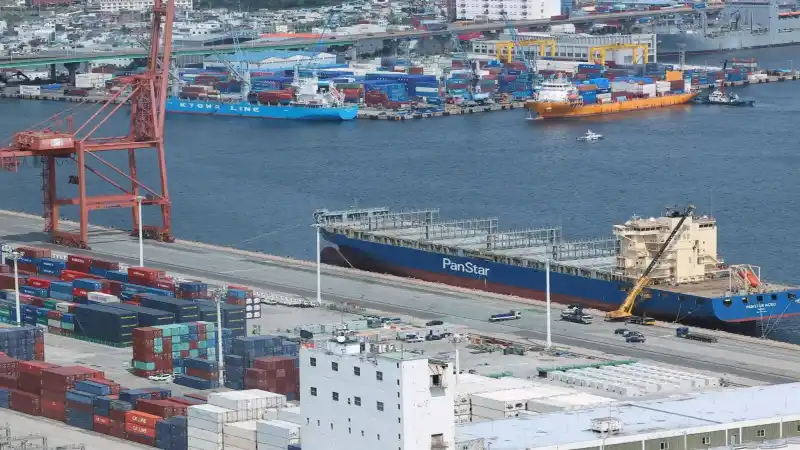 shipping corporation india 2000 crore profit fy27 fleet expansion